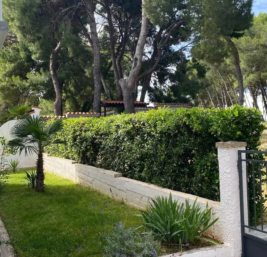 Max City Apartment بولا